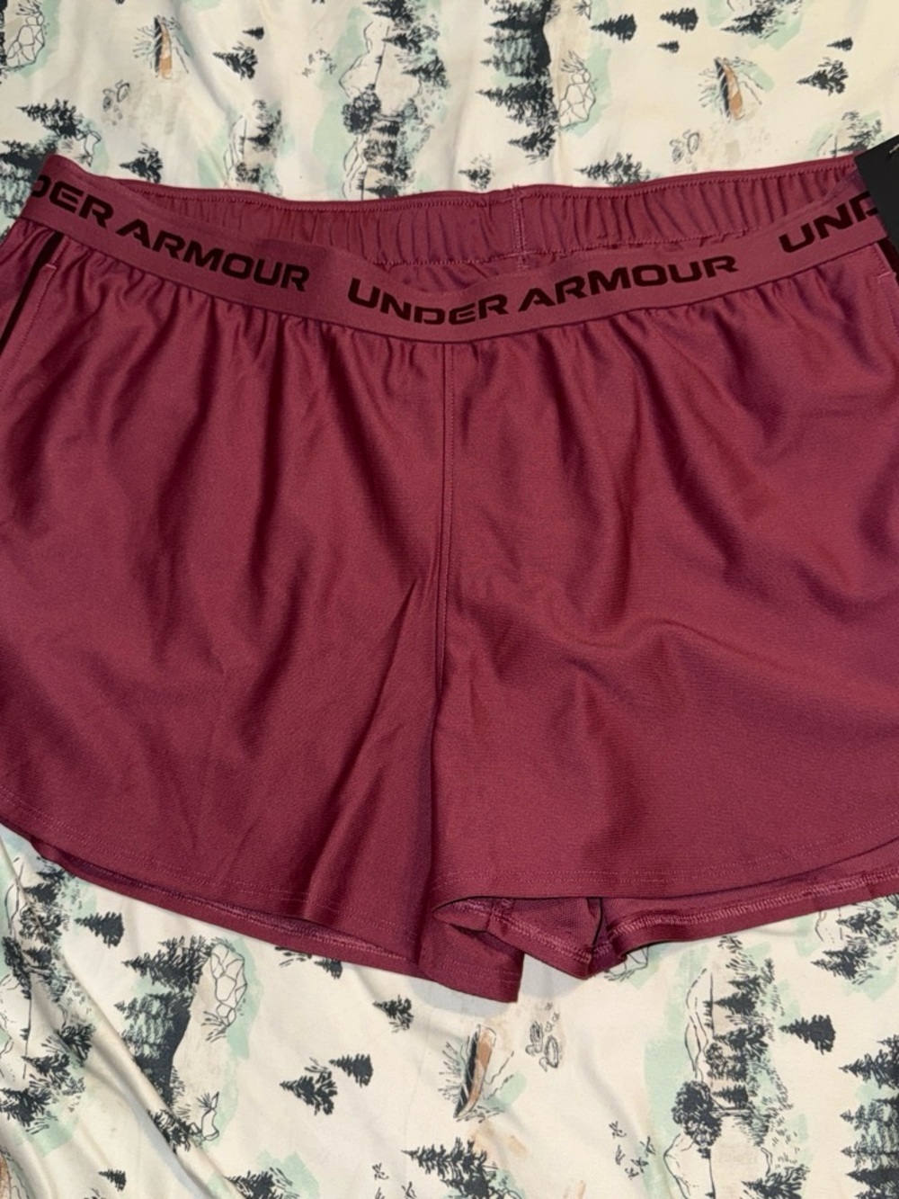 Under Armour Women’s 2X or 3x Performance Shorts NEW with pockets